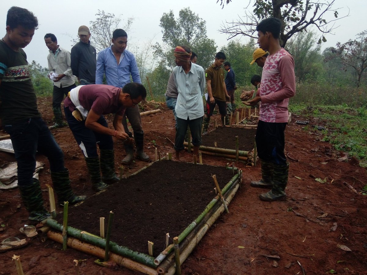 FarmerSamir's tweet photo. We need to take care of the soil. It belongs to our future generations. We have to keep it safe for them.  Follow minimum tillage and follow perma gardening methods to keep the beneficial microbes in our garden soil. JOIN US IN MAKING BIO INTENSIVE RAISED BEDS. https://t.co/s9SheUxs1l