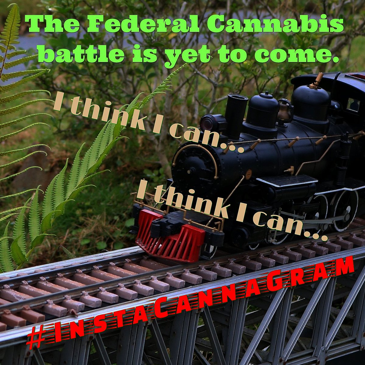 InstaCannaGram's tweet photo. #InstaCannaGram #CannaGram #cannabismedicinal #420media #canna #cannabis420 #cannabisculture #cannamusic #420music #banned #freedomofspeech #marijuanaporn #weedmemes #cannabisporn #weedbrothers #cannabisculture #canna #cannabislaw #420ladies #420girls #420nurses #twitterthreads https://t.co/tc6tHl4sSS