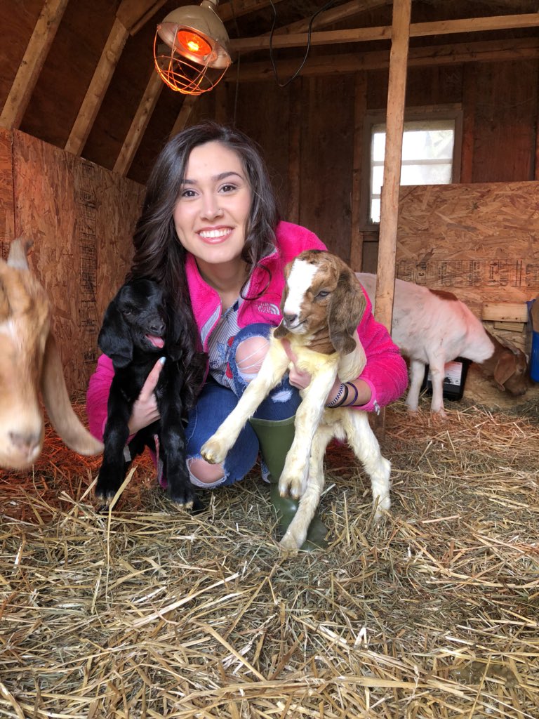 suga_shelb's tweet photo. @joannagaines @chipgaines Our newest! https://t.co/MMgJHL5XUY