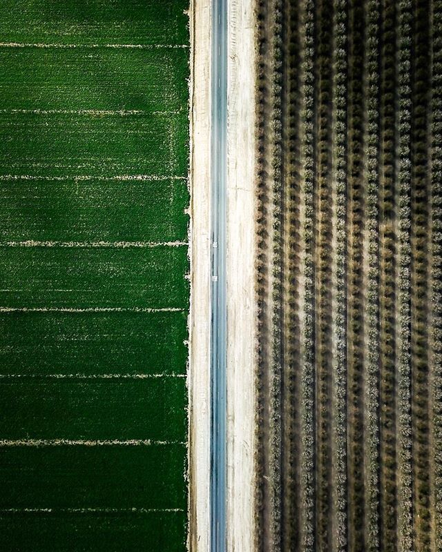 jamescollier's tweet photo. I miss Spring and sunlight.
#wovenwednesday #notbrooklyn https://t.co/vk06XuMyhe https://t.co/cl7tEVDN9C