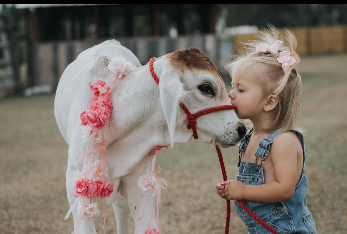 hansuewilson's tweet photo. THIS IS PRECIOUS https://t.co/263Q5Qbh69