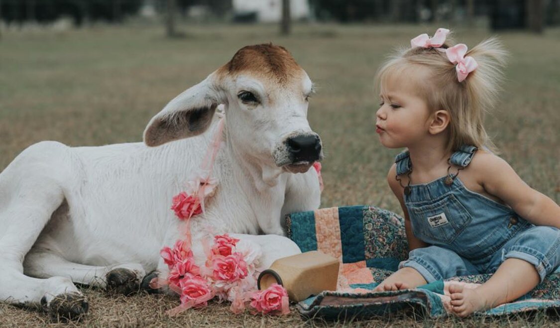 hansuewilson's tweet photo. THIS IS PRECIOUS https://t.co/263Q5Qbh69