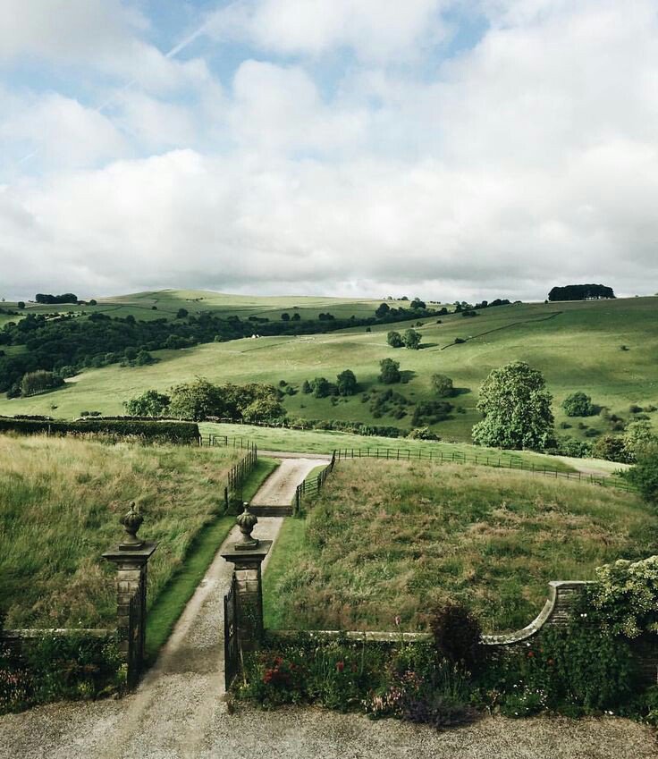 mgnuscarstairs's tweet photo. ↠elizabeth bennet (pride &amp; prejudice)↞ 

"I could easily forgive his pride, if he had not mortified mine." https://t.co/JLBNFxht1K