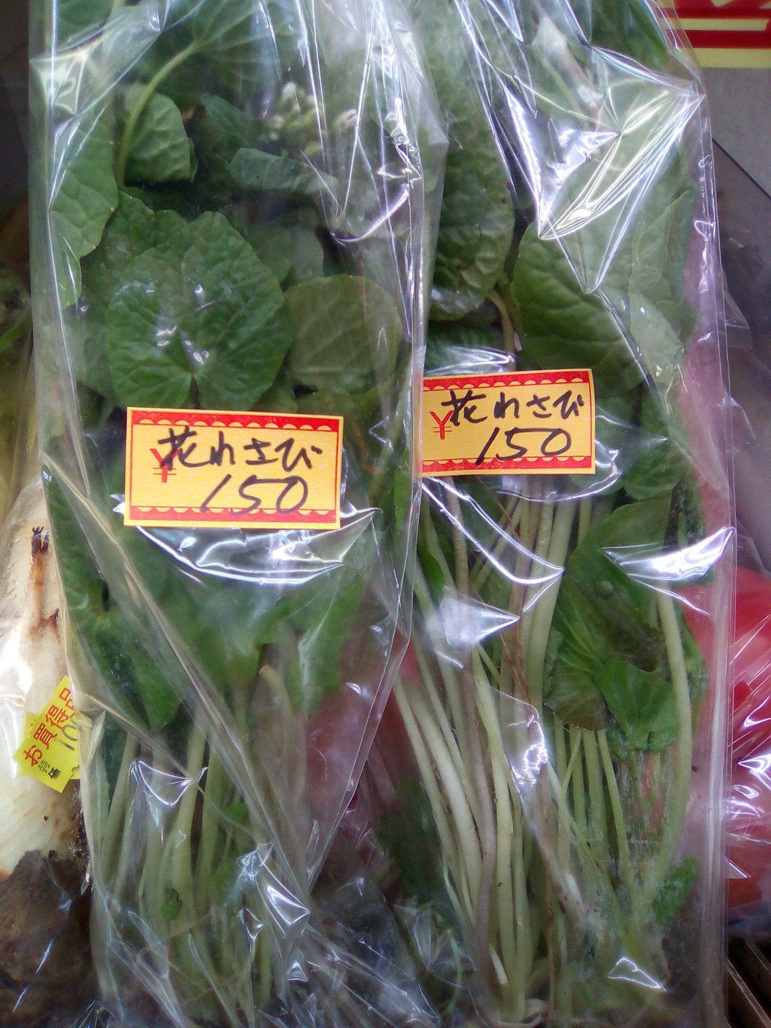 のぐちストアー 那須塩原産花わさび販売中です 那須塩原 花わさび のぐちストアー T Co Jnaisd7kmg Twitter