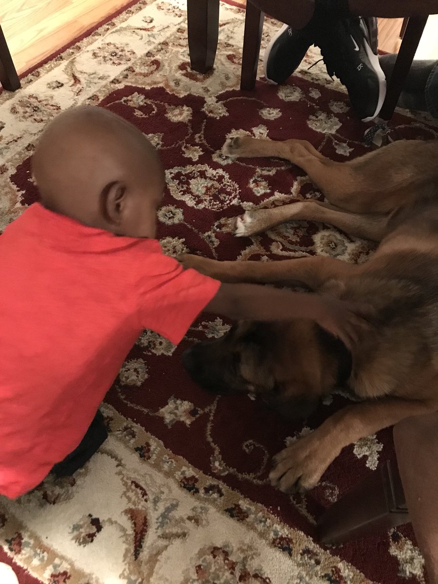 heathernmcnally's tweet photo. Deuce loved him some Samson therapy tonight 💓 https://t.co/3kEu87I9H0