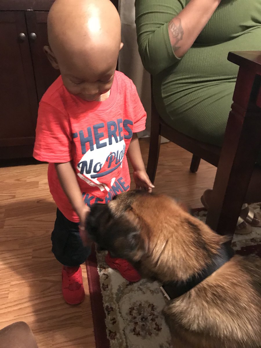 heathernmcnally's tweet photo. Deuce loved him some Samson therapy tonight 💓 https://t.co/3kEu87I9H0