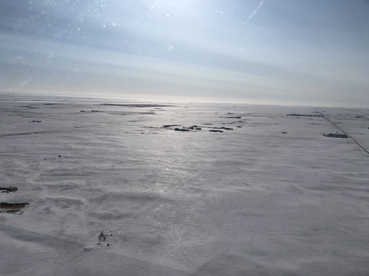 synergyaviation tweet media