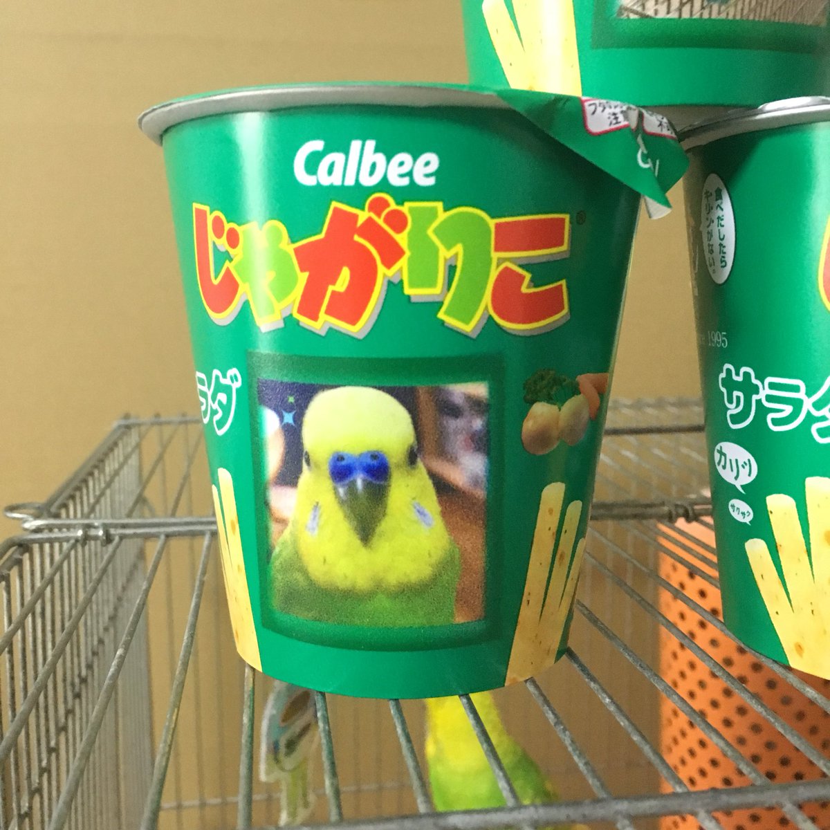 masa_mi04's tweet image. デコじゃがりこ作ってみた！😆
#インコ #セキセイインコ 
#デコじゃがりこ