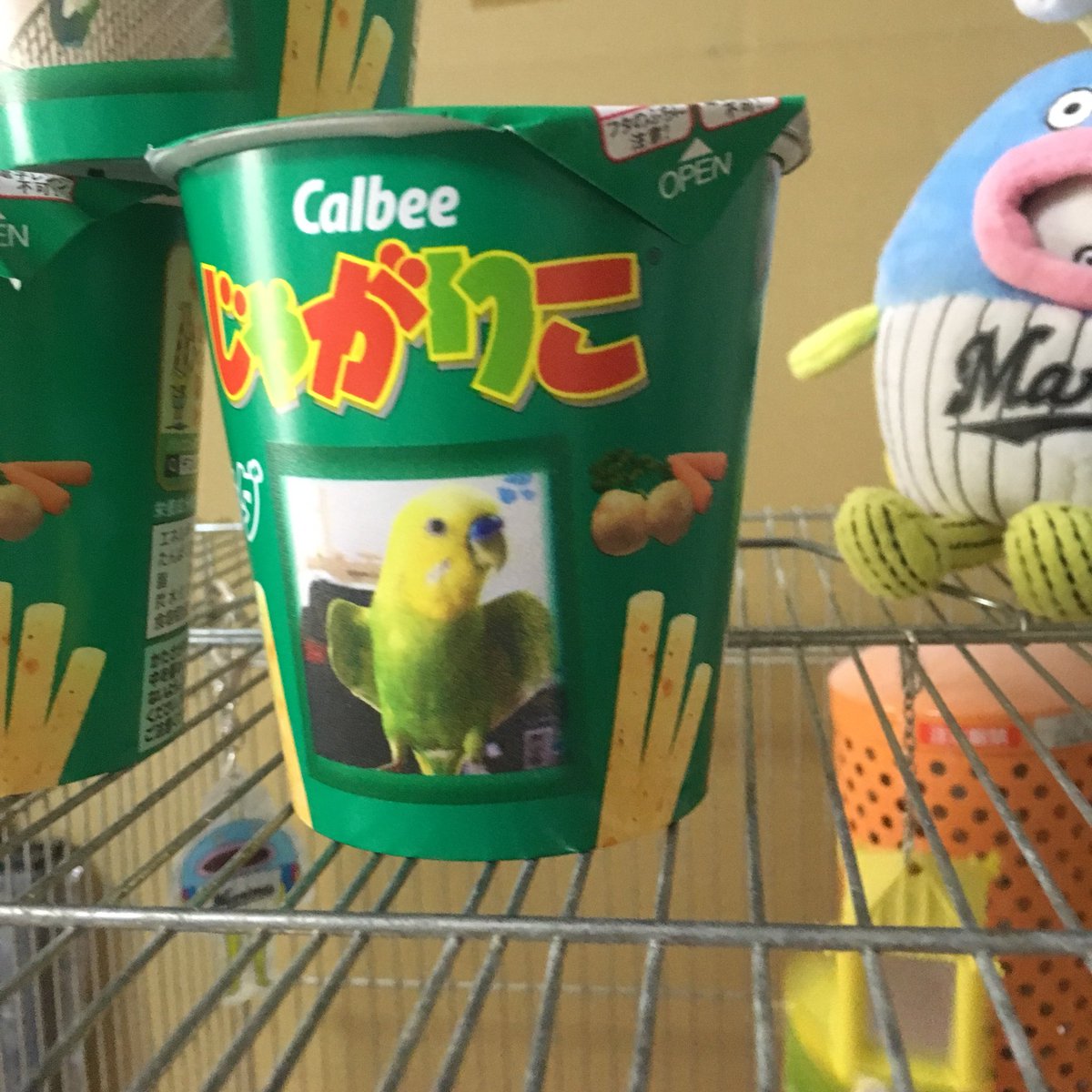 masa_mi04's tweet image. デコじゃがりこ作ってみた！😆
#インコ #セキセイインコ 
#デコじゃがりこ