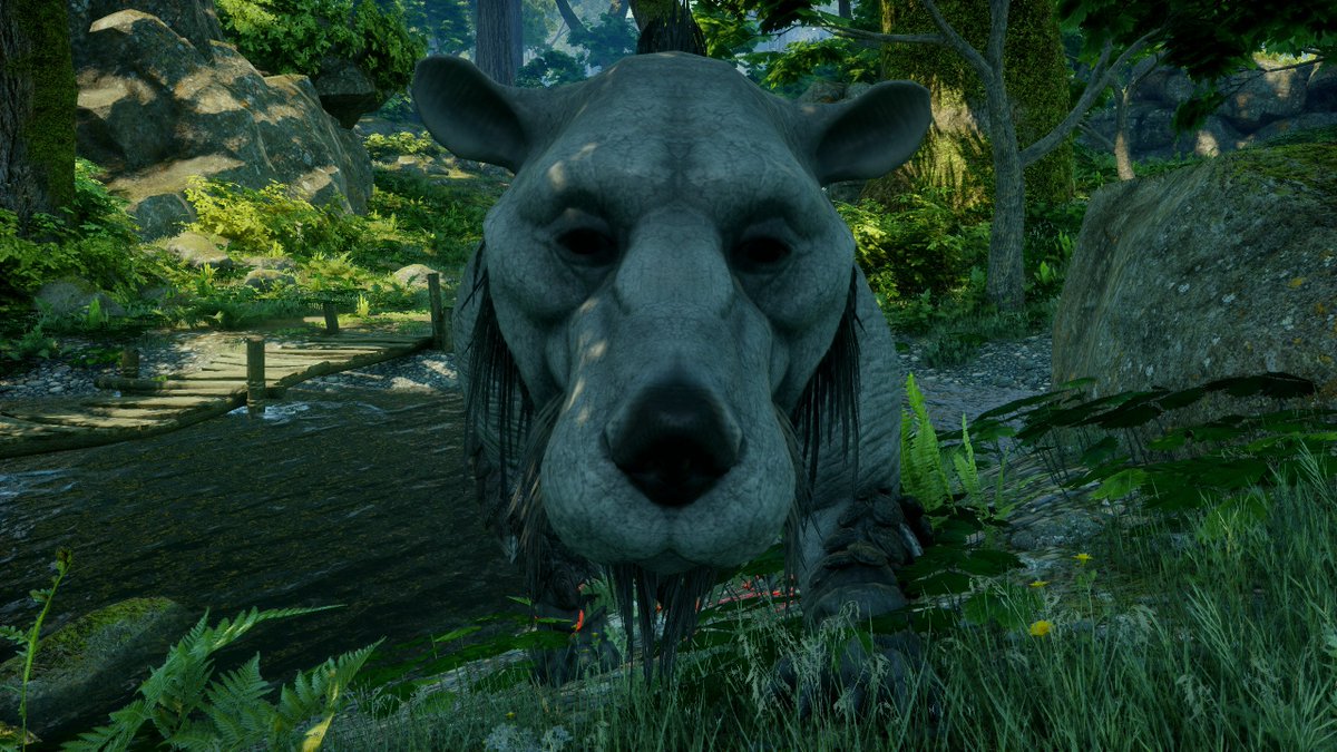 Hrungry's tweet photo. "Wait, what's that behi...?" ๐ค
#DragonAgeProblems #DamnNinjaBears #FromTheArchives https://t.co/VJ15jK1Tqz
