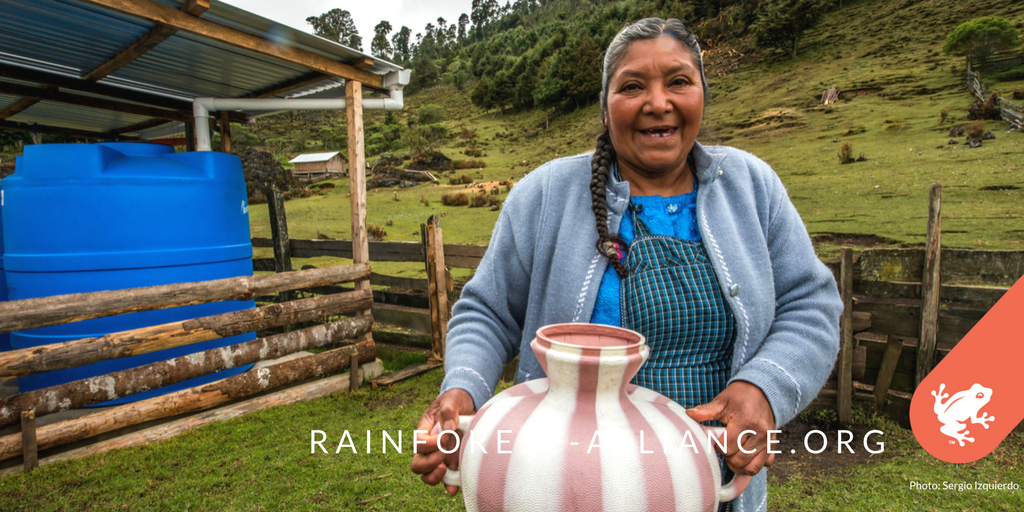 RnfrstAlliance's tweet photo. This community in Guatemala used to spend up to 3 hours a day retrieving #water. Now, after working with us to build simple, efficient rainwater harvesting systems, these families have access to #cleanwater right outside their homes. https://t.co/0ylvNYjZAo https://t.co/KYcBKR6EKR