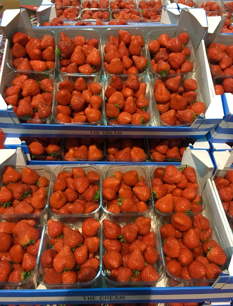GT_Produce's tweet photo. Beautiful Belgium strawberry 8x500g  #Strawberry #Belgium @SharrocksFresh1 https://t.co/2uPV3hM88F