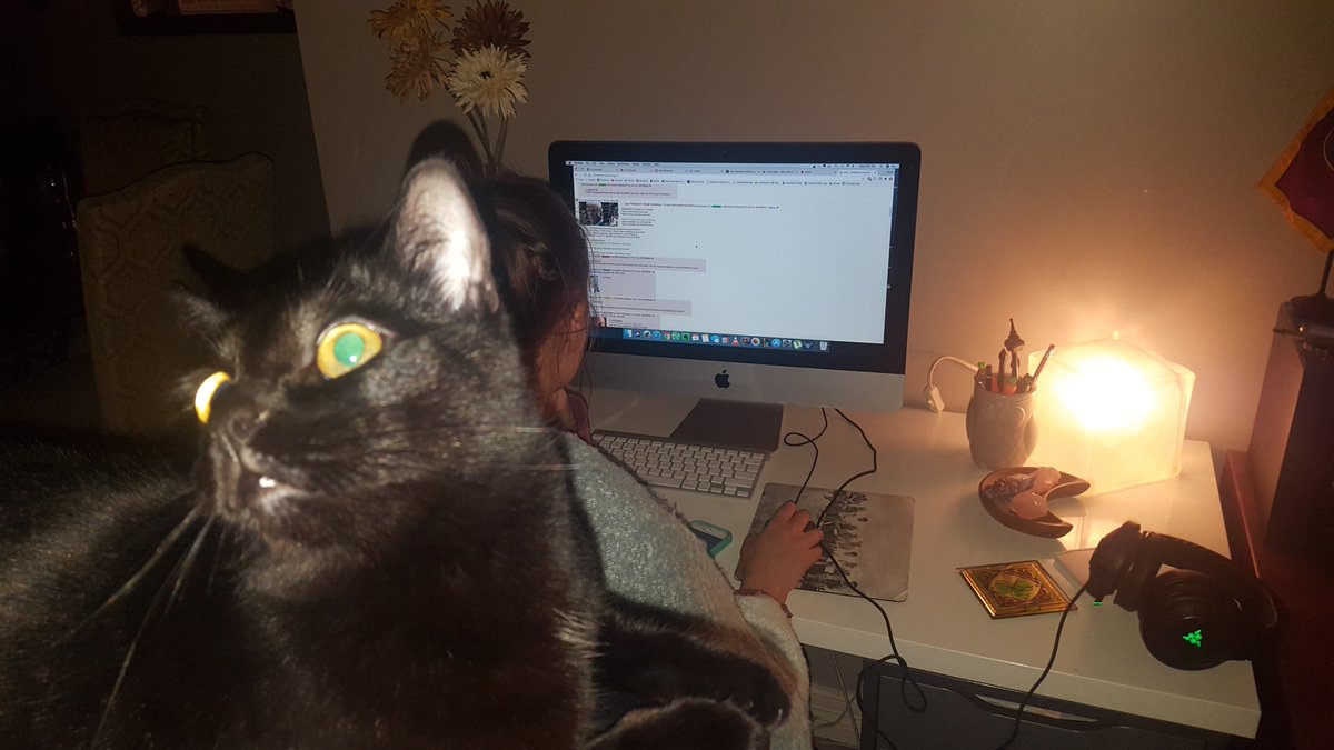 KalsterCat's tweet photo. My mom's being stormfag again. I stand with Israel. #catright #blackcat #polhumor #catlife #meow https://t.co/XBcJebIBGT
