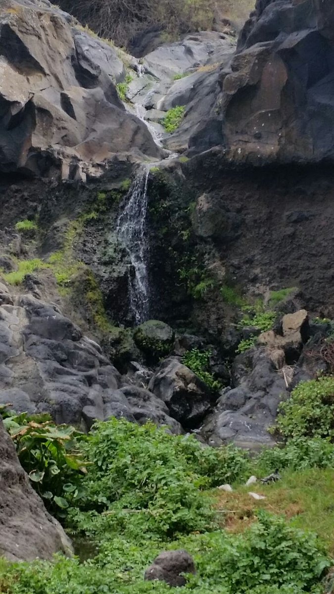 fjparrillagomez's tweet photo. Corre agua cerca
Otro rincón aquí al lado 
#LaLaguna#Canarias#Tenerife @Patea_Tenerife @ataliabarbuzano @itielleon @Fer_Cabrera 
@5ValledeGuerra @cairos94 @jesus_p1965 @jbenitomedina @omardramosl  @laszocas @diazoval @Ruth_Ramos_ @idaira_afonso @PatriciaHdezGut @ataliabarbuzano https://t.co/epP68bdgfK