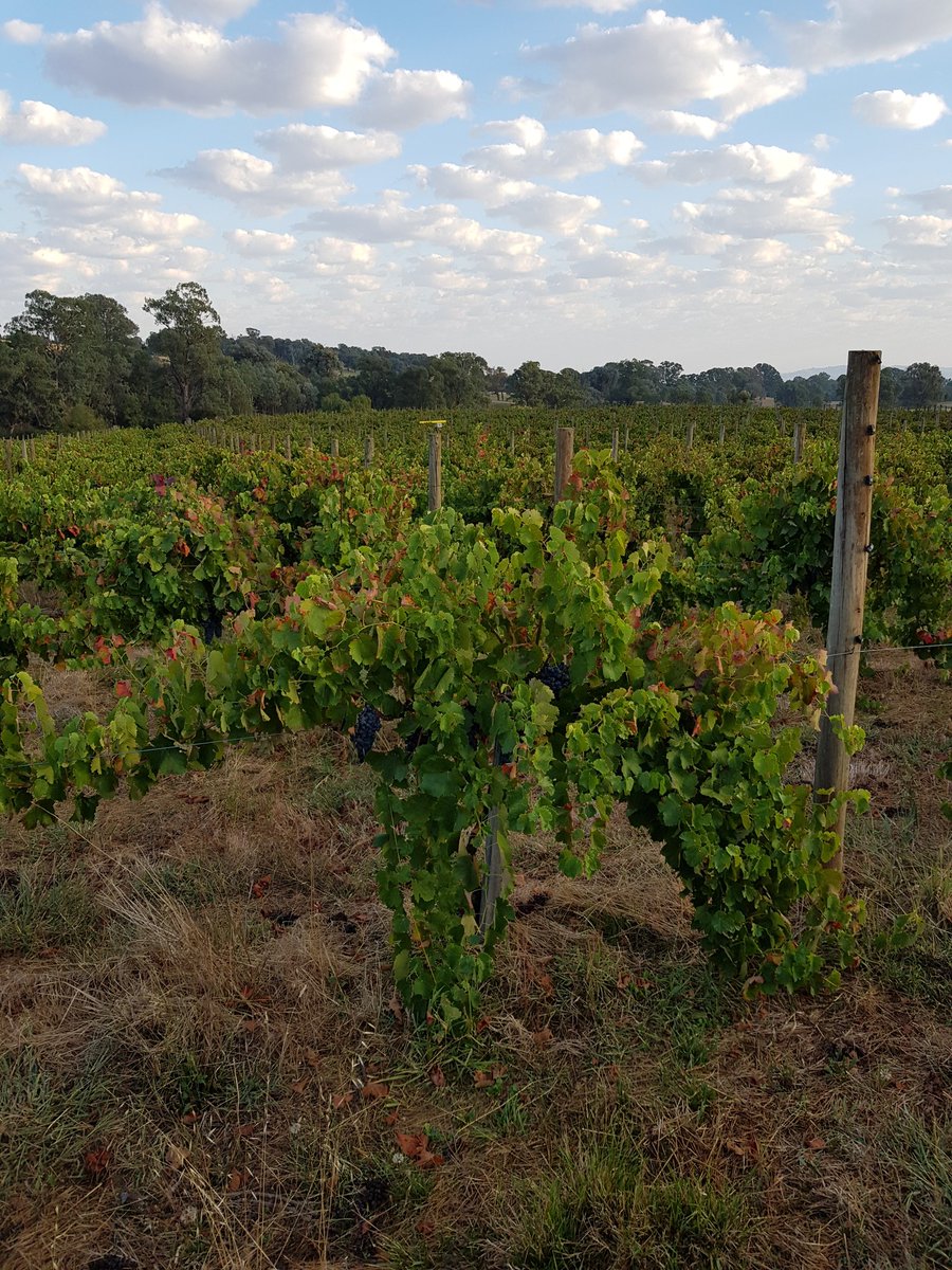 Mark Walpole tweet media