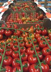 Global_Fruit's tweet photo. https://t.co/aVwLWd2Xzs