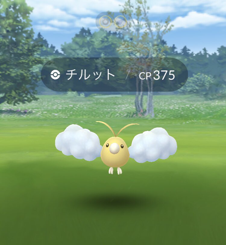 海月ちい クラチー 2匹目の色違いチルットちゃん 野生 Getー これでオスメスコンプリート W 本当は進化させて色チルタリス夫妻にしたいんだけど 後の何かのリサーチで チルット進化させろ 色違い進化させろ とか来たら