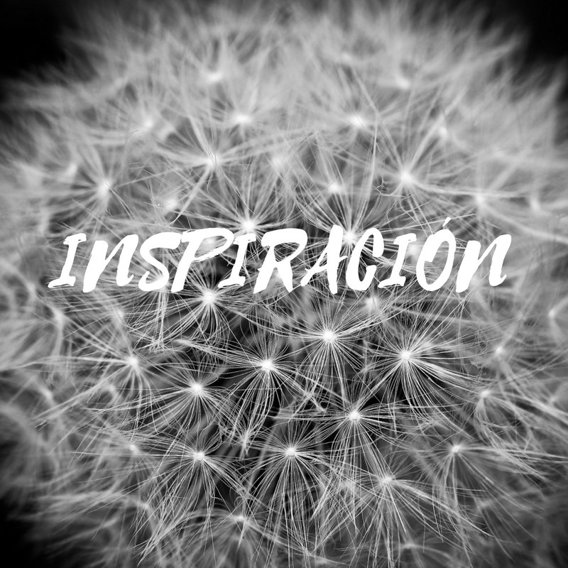 MuerodeAmorDeco's tweet photo. Hola AMORES! estoy acabando un post para l@s decoadict@s del #BlackAndWrite 😉 https://t.co/xHlv2GGwxI
#NegroYBlanco #BlancoYNegro #DecoraciónDeInteriores #Decoración #IdeasDeco #HomeLovers #DecoLovers #LoveDeco #DecoValencia #InstaDeco #Ideas #Inspiración #ValenciaGram #Valencia https://t.co/NgnAp9xY6g