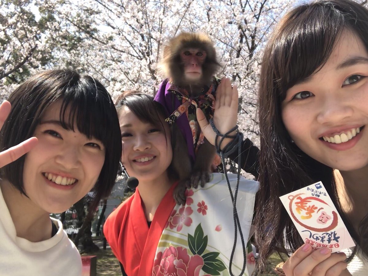 robin6132's tweet photo. 実は昨日にて西公園でのショー終了しました…
西公園桜の���期に見にきてくれてありがとう！！
25日には神戸に移動してしまうけど、見にきてくれた人にパワーもらったので頑張ります！！
今年は天気に恵まれてた〜！
幸せ〜 https://t.co/sBC0HF6YX2