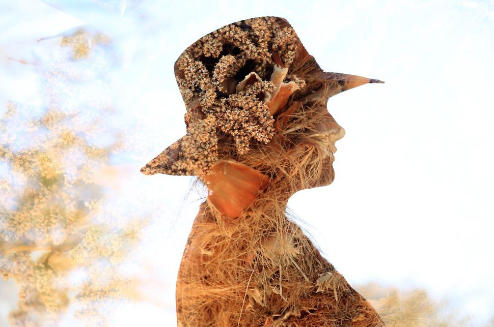 BackdropStore's tweet image. Photographers don't let disabilities get in their way buff.ly/2pueBX7