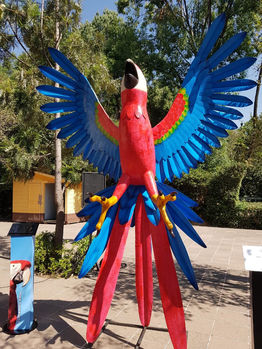 VerdeXMi's tweet photo. Fauna Mexicana y Arte Popular
Alebrijes monumentales de especies mexicanas en riesgo
Entrada libre!
@dechapultepec https://t.co/OnCquDy4Vw