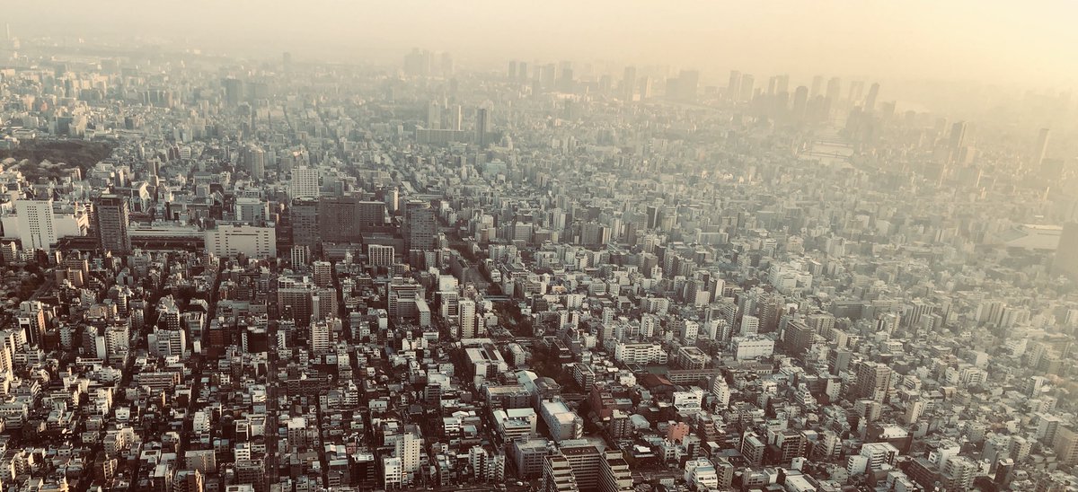 ProjectStudioLA's tweet image. #ShotoniPhone