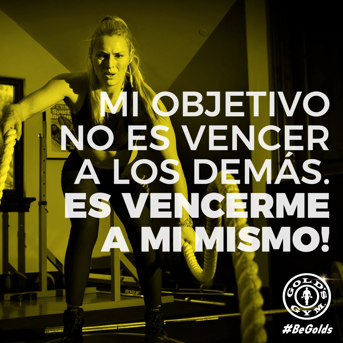 goldsgymec's tweet photo. Deja las #excusas y vence el miedo!
#Begolds #BeGym #NoExcusas #Fitness #NoPainNoGain https://t.co/91fu3vi0gm