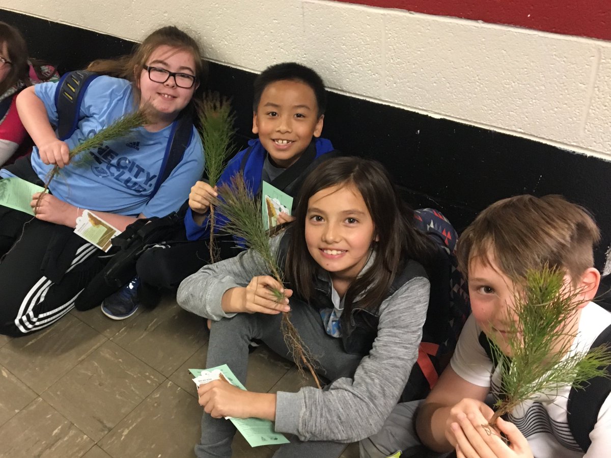 jtalburt's tweet photo. It's Missouri Arbor Day! 4th graders left with little pine trees to plant! 🌲 🌲 🌲 https://t.co/O5ZFtYRMxb