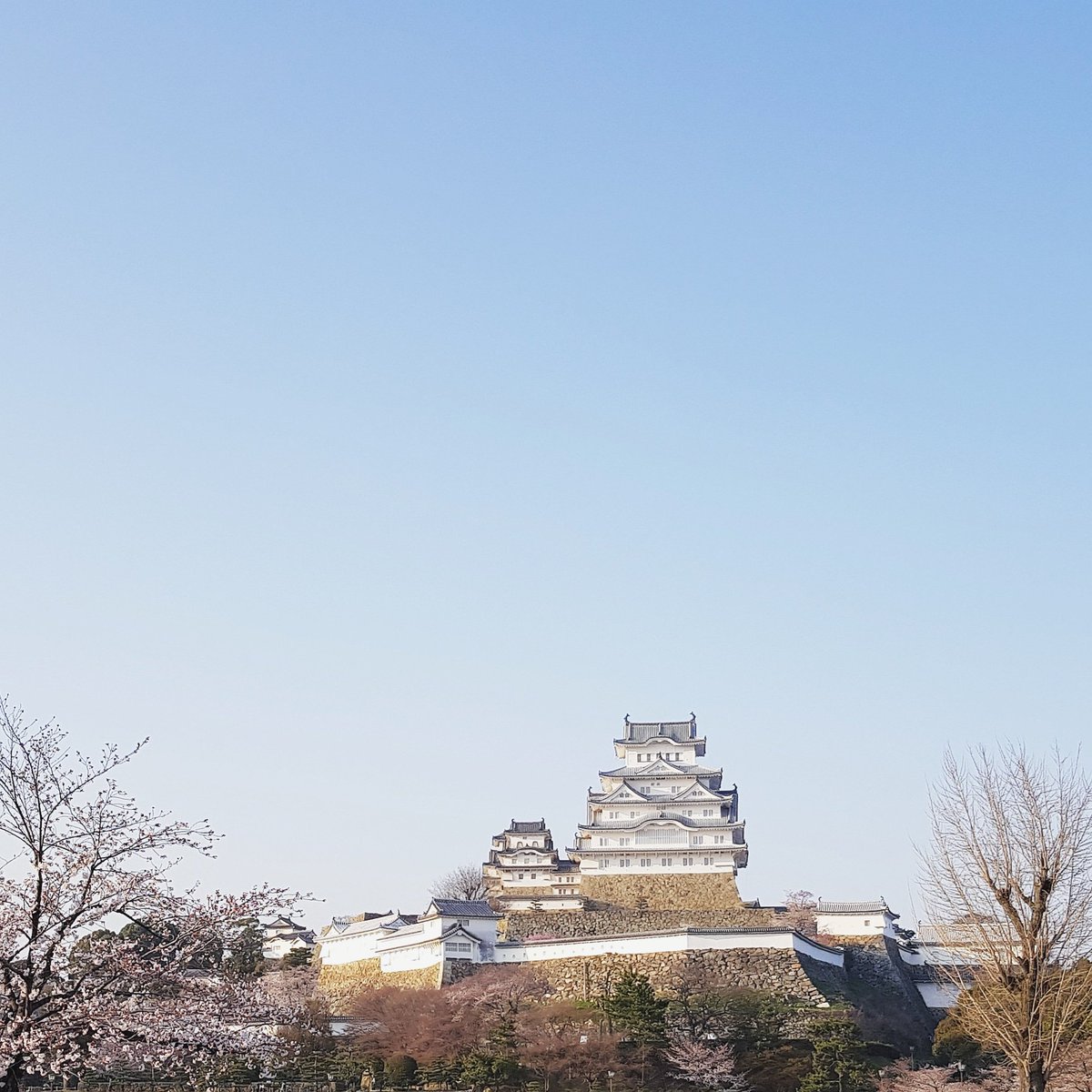 rain_fuyu's tweet image. The best day in Himeji Castle 💖