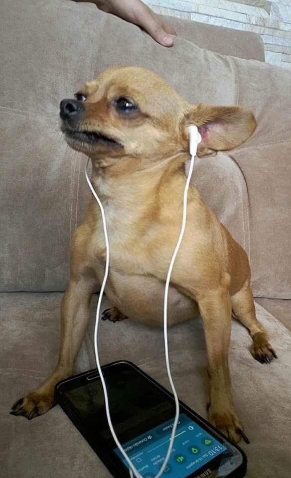 Jean Grey On Twitter Quando A Chuva Passar Quando O Tempo Abrir Abre A Janela E Veja Eu Sou O Sol Eu Dou Ceu E Mar Eu Sou Ceu E Fim E twitter