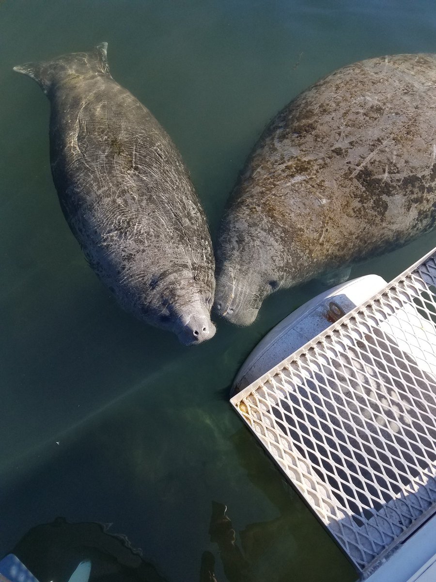 GC Expeditions tweet media