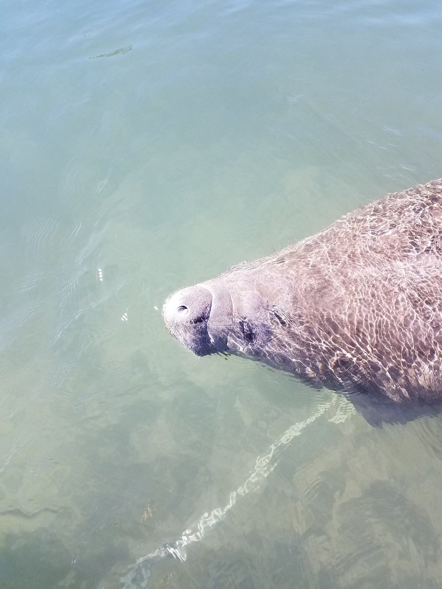 GC Expeditions tweet media