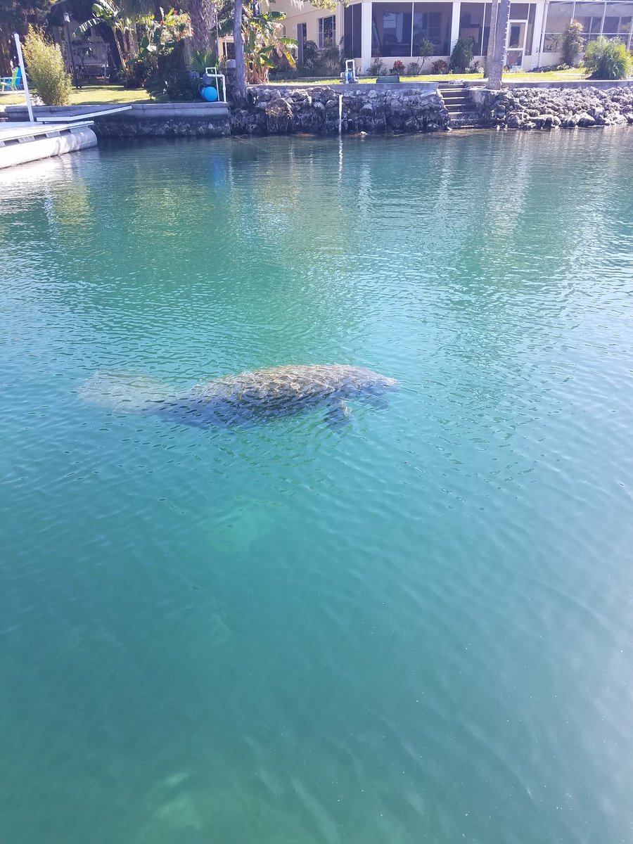 GC Expeditions tweet media