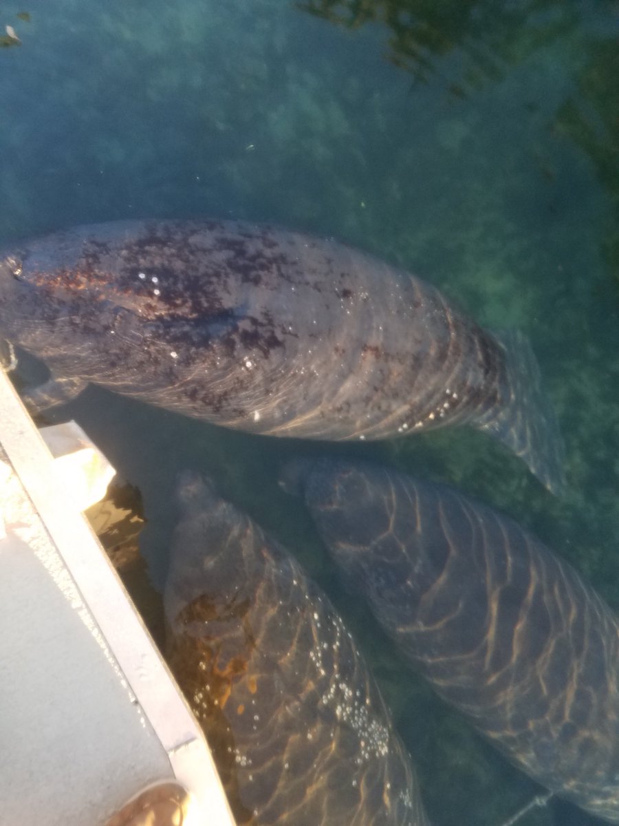 GC Expeditions tweet media