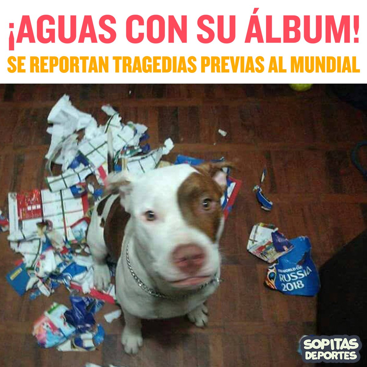 sopitas's tweet photo. ¡Tragedia griega! 😩😭⚽️💸 https://t.co/ocgbpzompg