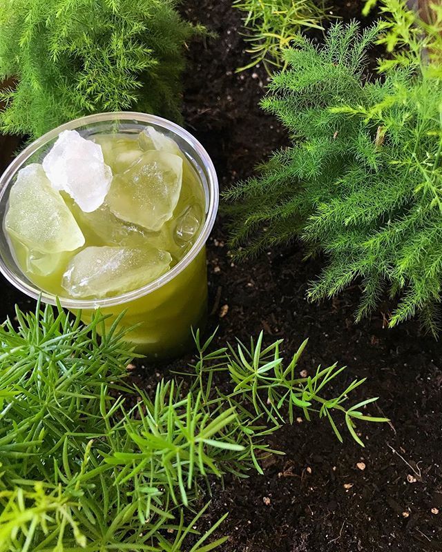 Raizana Tea Co tweet media