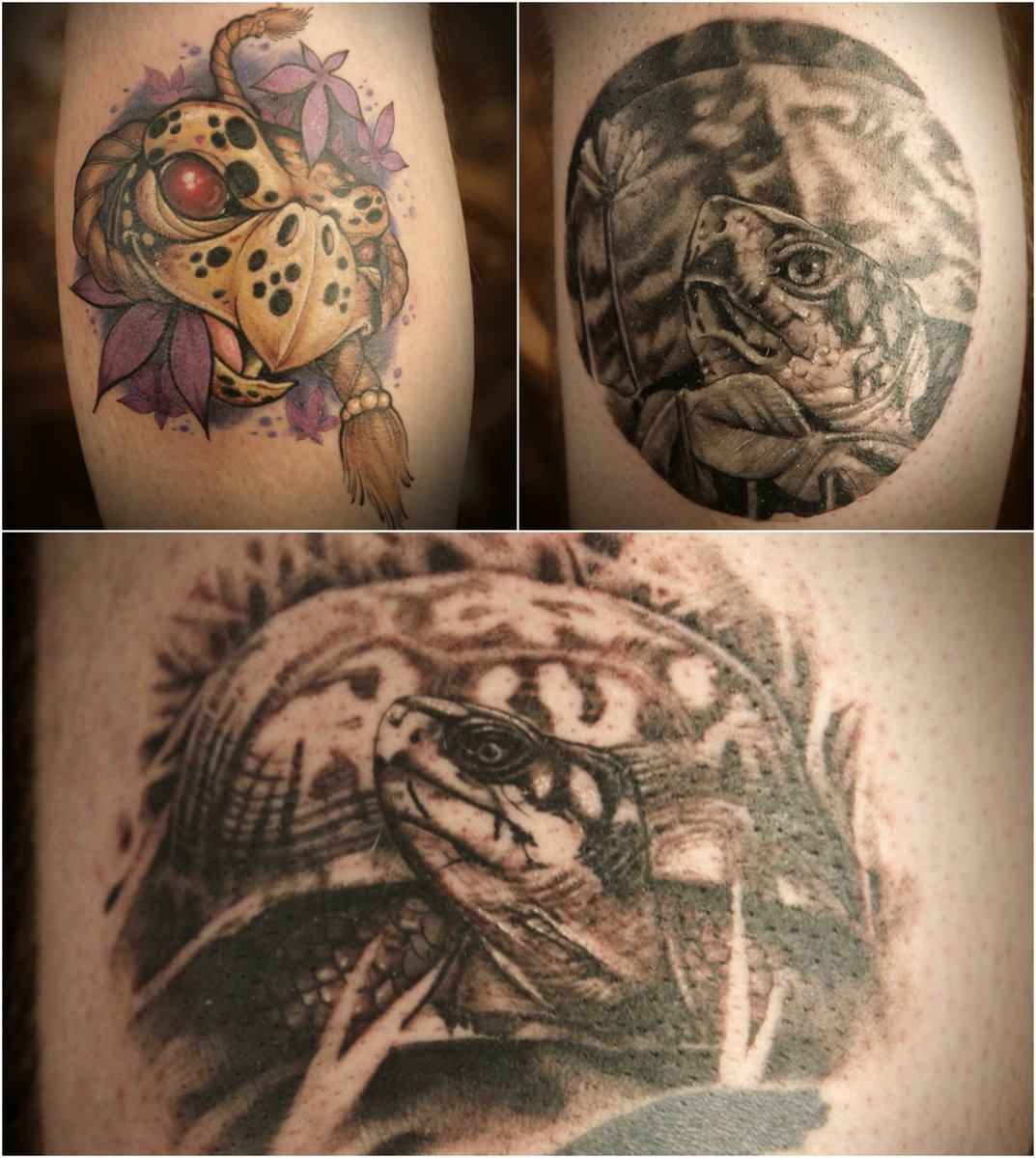 inkmaster's tweet photo. Three very solid turtle tattoos. Which would you rather wear? #InkMaster https://t.co/KwJSPtFXvV