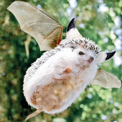 WinterKing77's tweet photo. #NewProfilePic https://t.co/bq8NhSzgJH