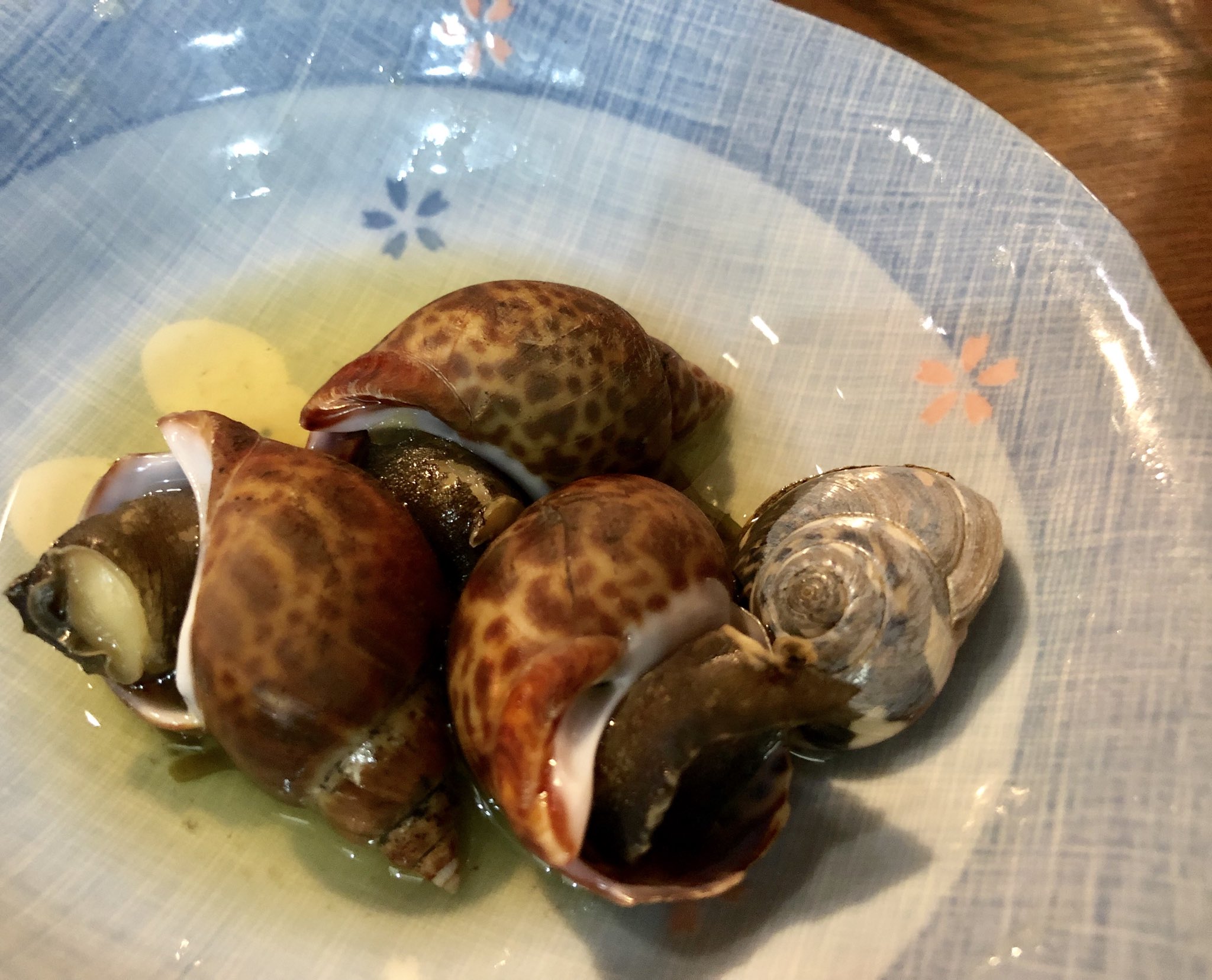 静岡人 昨日 居酒屋に行って ながらみちょうだい って言ったら 今日は入荷してないや って言うもんで 仕方なく海ツボを注文したら コバに1個だけ ながらみ がいるじゃん バカ嬉しいっけや 静岡人 ながらみ ながらみ貝 ながら 静岡人 昨日 居酒屋に行って ながらみちょうだい って言ったら 今日は入荷してないや って言うもんで 仕方なく海ツボを注文したら コバに1個だけ ながらみ がいるじゃん バカ嬉しいっけや 静岡人 ながらみ ながらみ貝 ながら