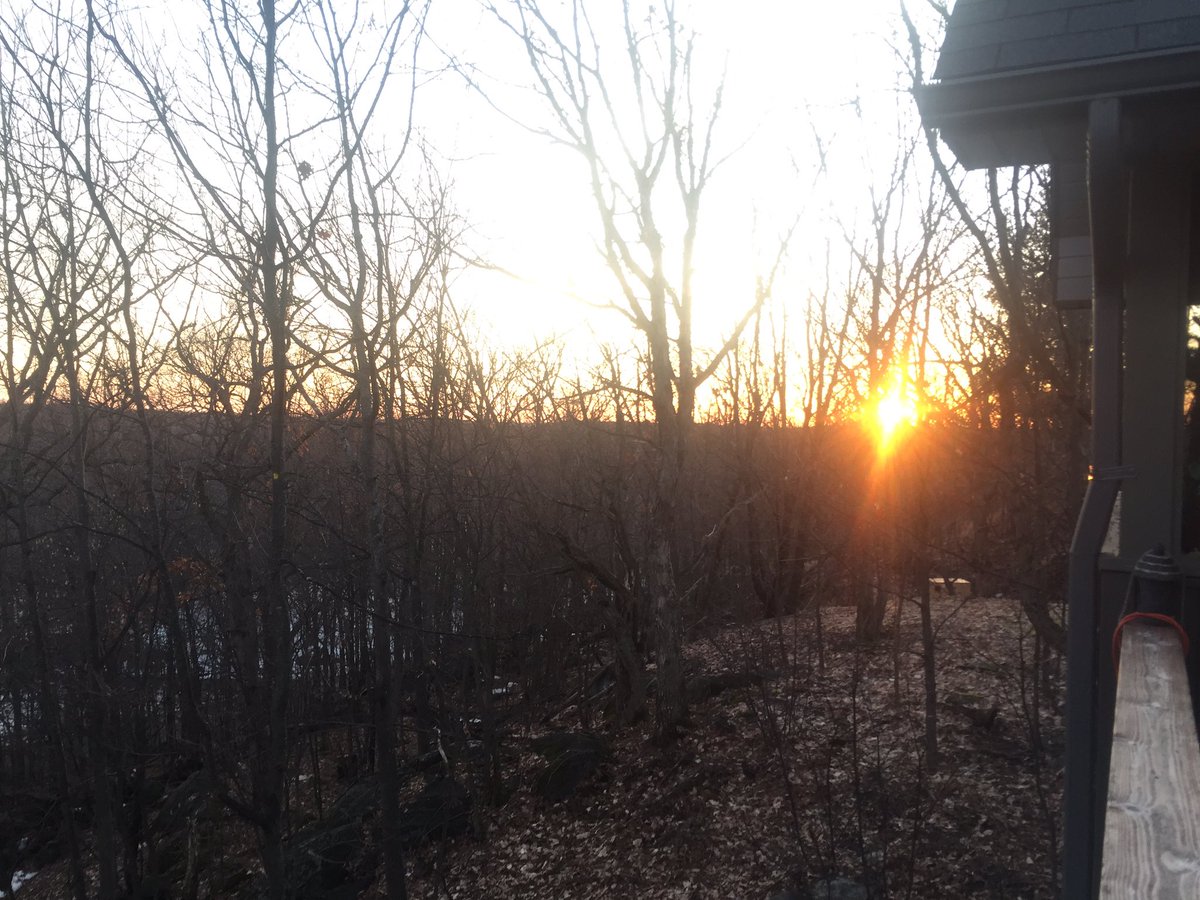WhiteOakFX's tweet photo. As the sun sets on yet another magical day, I've made some green tea with lemon 🍋 put on some classical music, opened my journal 📖🖋 and will gather my thoughts and objectively examine what has taken place in the markets 📉this week thus far. 
#journalmagic #focus #calm #forex https://t.co/q2qG0H25k7