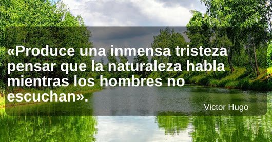 ServiLectric's tweet image. ¡CUIDA LA NATURALEZA!
#ServiLectricConElPlaneta