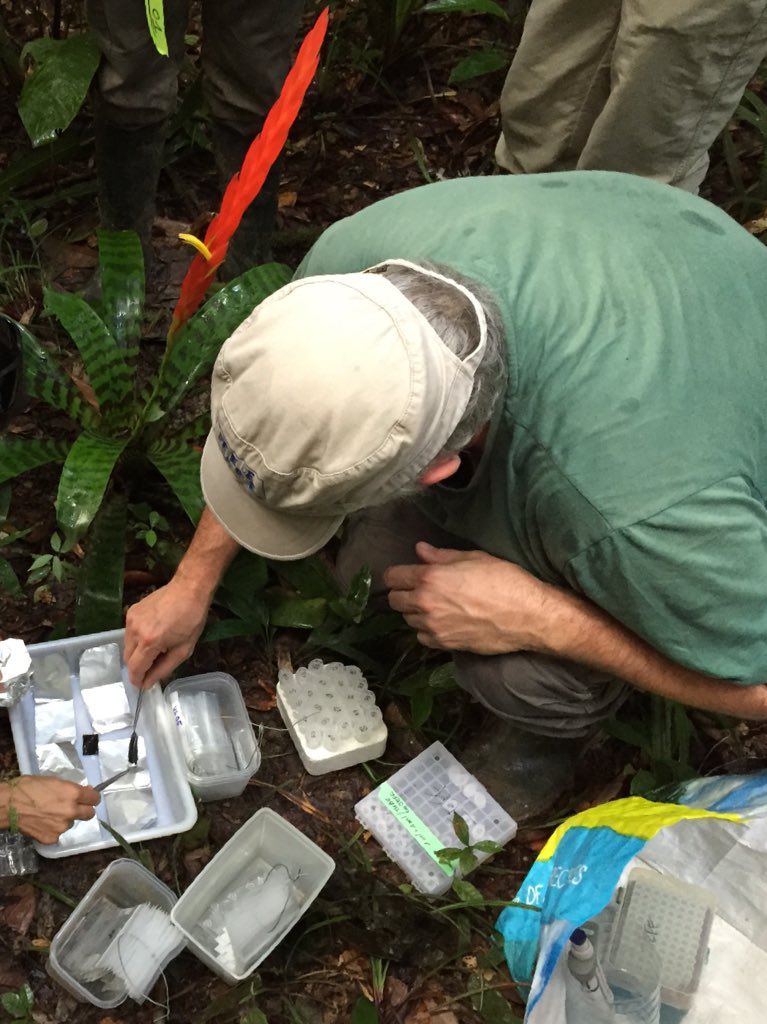 vejjassey's tweet photo. From the rainforest to the lab! What a successful day on the #Proseco project! I’m looking for analyzing the #MicroResp result! https://t.co/GIZczzm5Nl