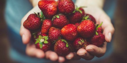 Naturally Good Expo tweet media