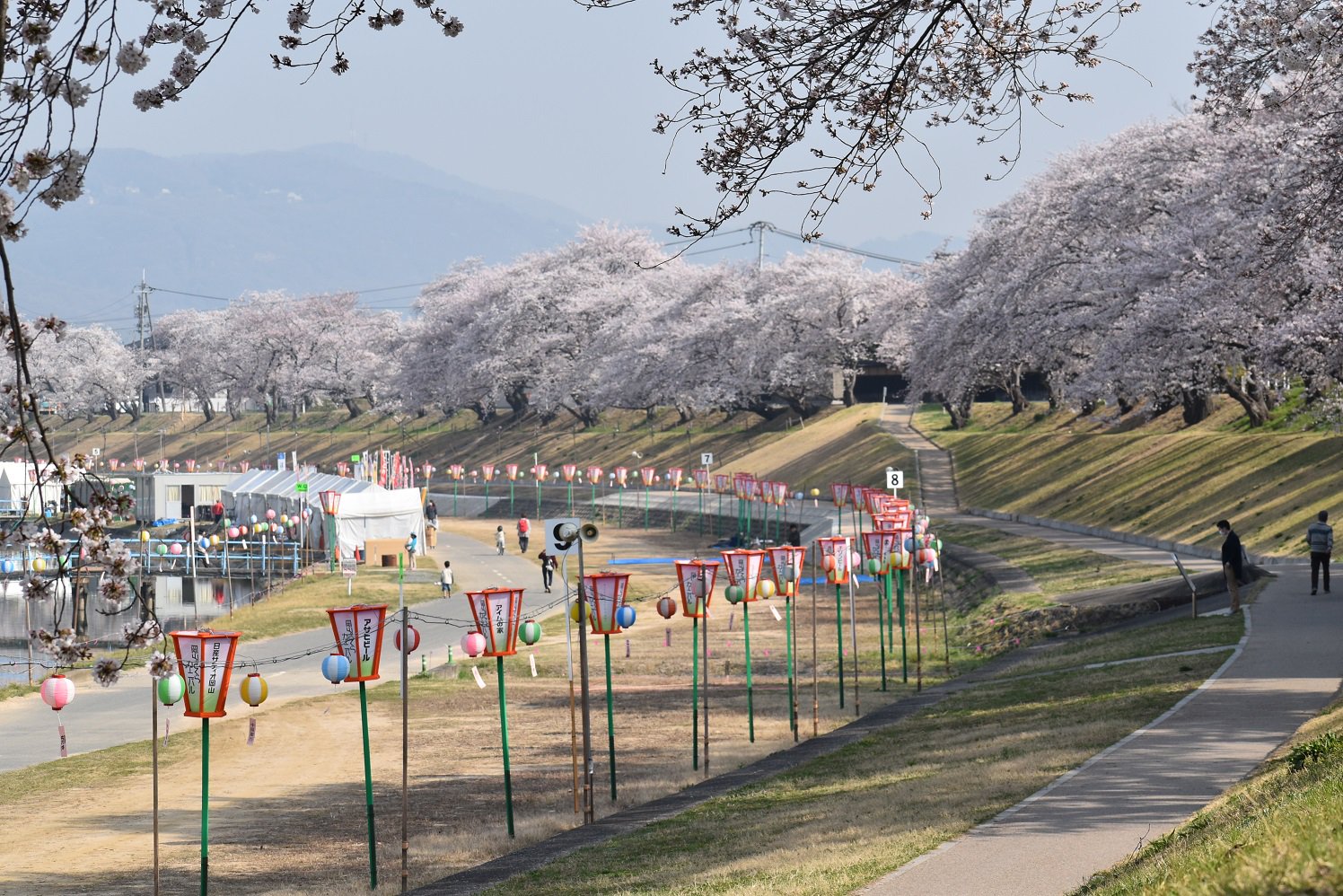 岡山県公聴広報課 本日の晴れの国おかやま 今日は晴れです 晴れの国おかやま 日和が続いています 旭川河川敷の桜が満開です 本日から4月8日 日 の10時 21時まで 岡山さくらカーニバル が開催されます 桜の状況により変更可能性あります
