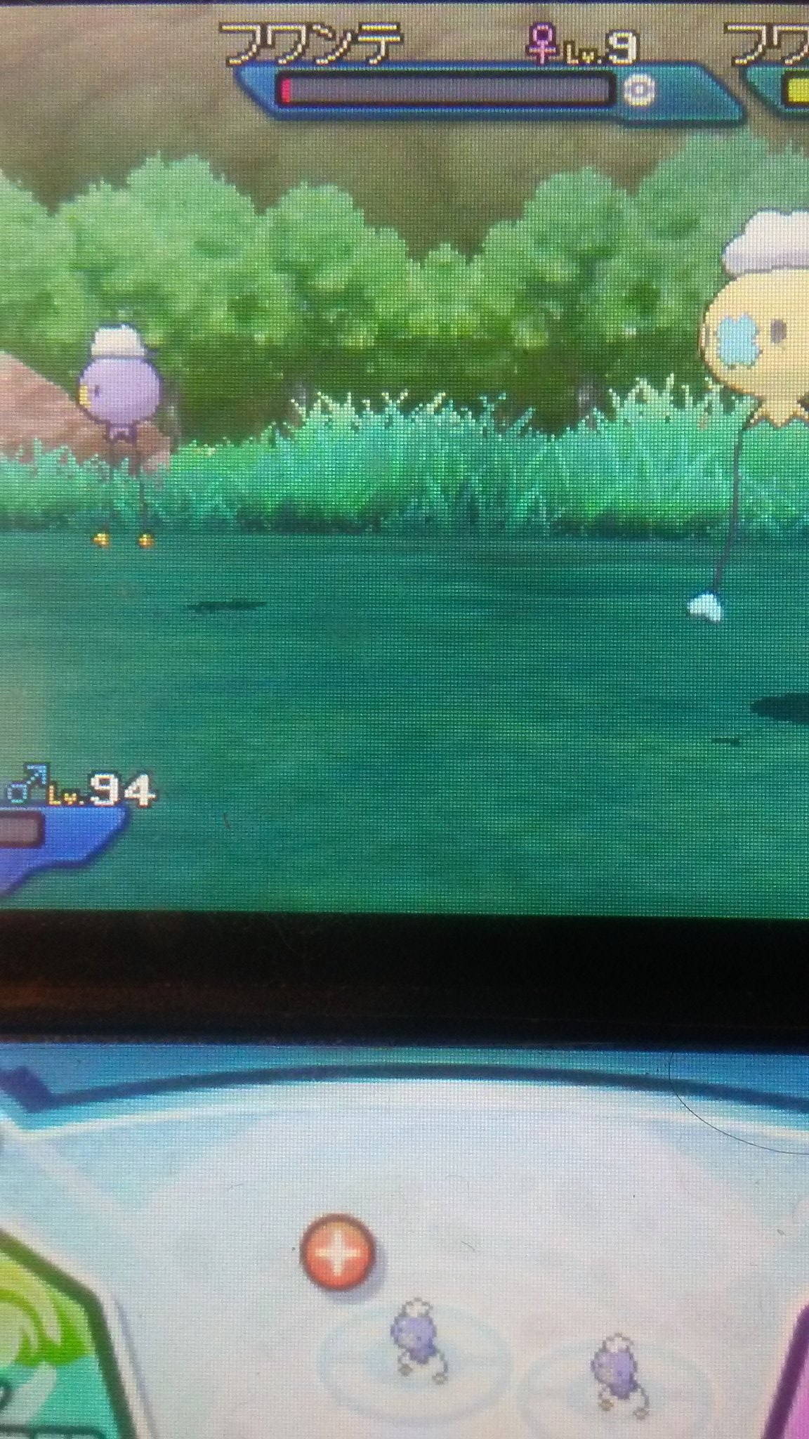 リナ 今回はゴーストタイプのチェインに挑戦してみたけど なんとか成功した 今回のターゲットは フワンテ なんだけど今回はすっごく早く出て来た ポケモンウルトラサンムーン ポケモンウルトラサン ウルトラムーン チェイン 色違いポケモン リナ 今回はゴーストタイプのチェインに挑戦してみたけど なんとか成功した 今回のターゲットは フワンテ なんだけど今回はすっごく早く出て来た ポケモンウルトラサンムーン ポケモンウルトラサン ウルトラムーン チェイン 色違いポケモン