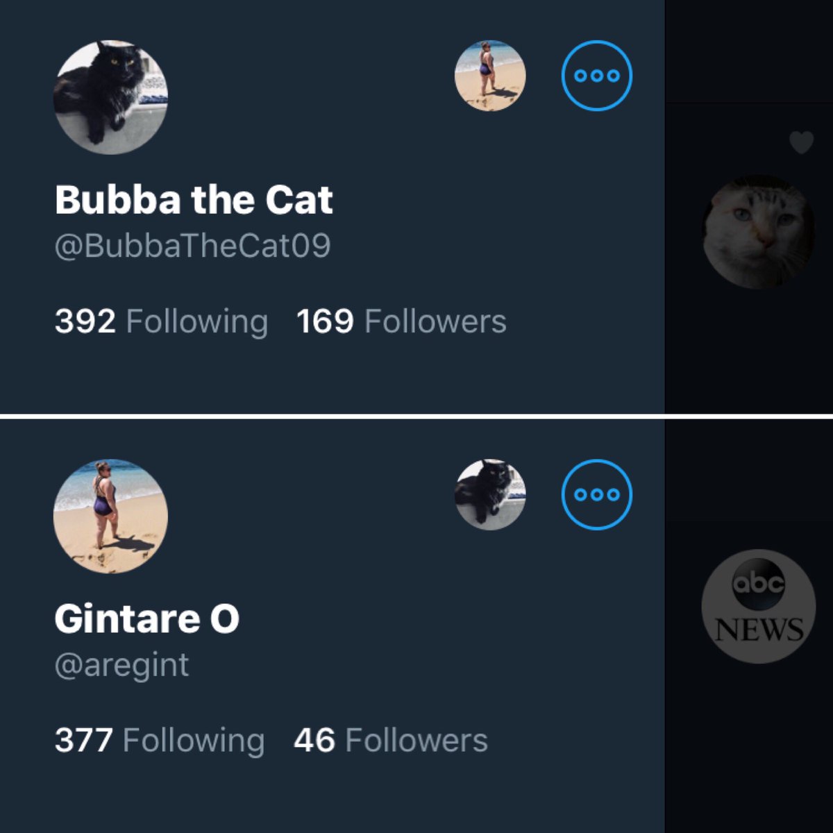 aregint's tweet photo. My cat @BubbaTheCat09 has more followers on @Twitter then I do #notascute #catproblems https://t.co/iigB0dU4Hd