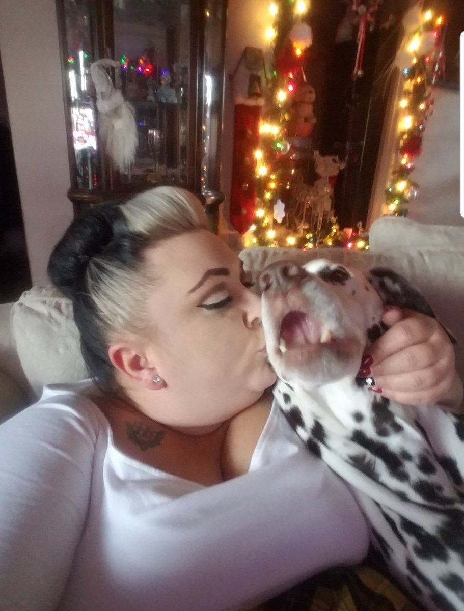 MissJ_Harlow's tweet image. Me and my amazing doggo circa immediately after I got back from the happiest adventures.
He missed me 😂😂😝
#december2016 #neverhappier #neversmiledsomuch