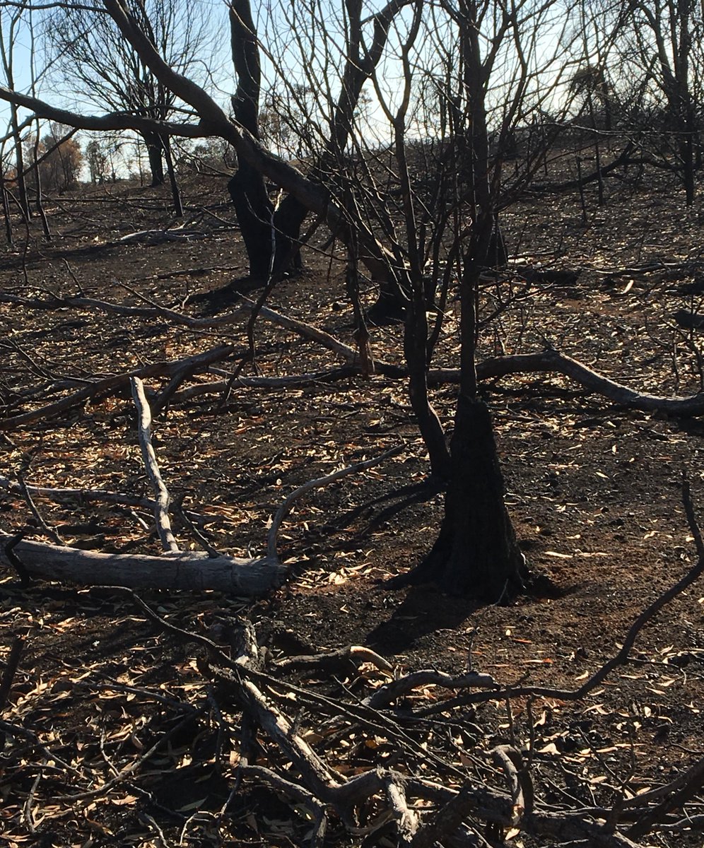 VicGovRecovery's tweet photo. Sharing the pain is what we do best as a community and as a #VicState. Weβve done it before and weβll do it again #swfires #vicfires #weWorkAsOne https://t.co/LeAzbgfP1z