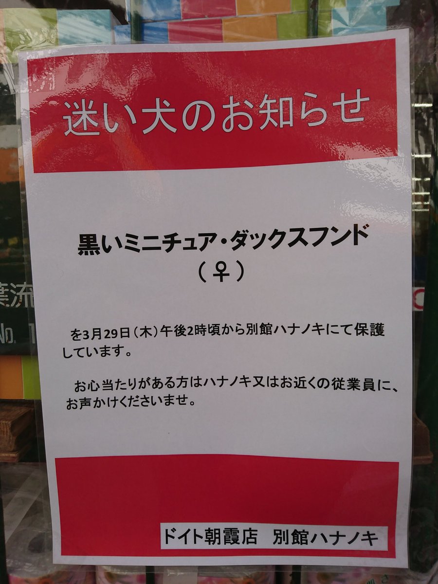 花の木 Twitter Search Twitter