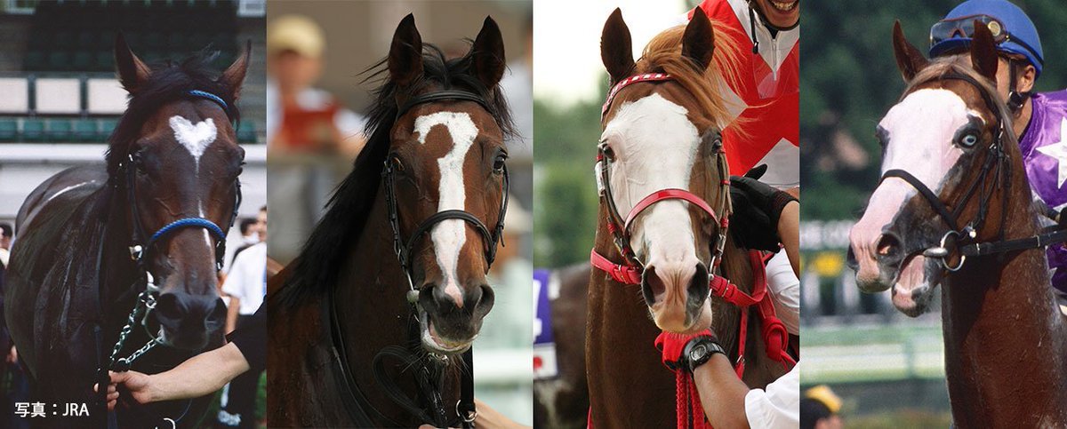 Jra Fun En Twitter 個性的な顔の模様を持つ馬たち T Co Siu33pseo6 馬 の額や鼻筋にある白い模様 よく見ると面白い形の馬がいるよ みんなも見つけてみよう うまび T Co Wu0wichbd6 Twitter